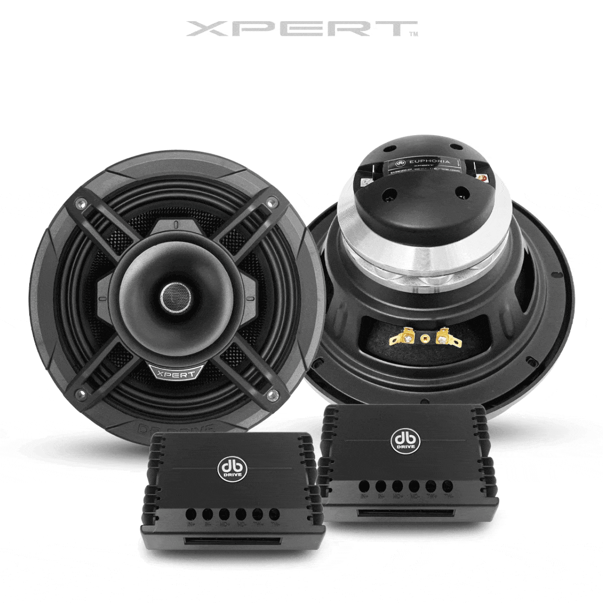 Xpert EX8SNCD-CF 8