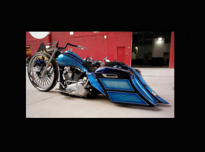 Rehab 1.0 Factory Rail Bags – Insane Asylum Motorsports